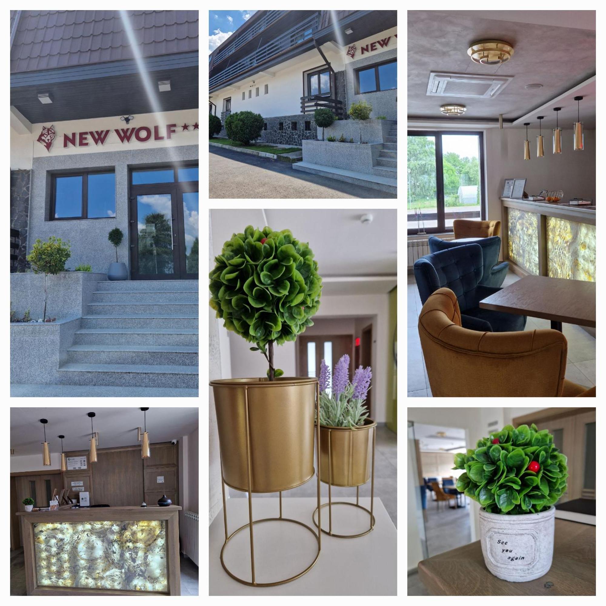 Hotel New Wolf Bran  Exterior foto