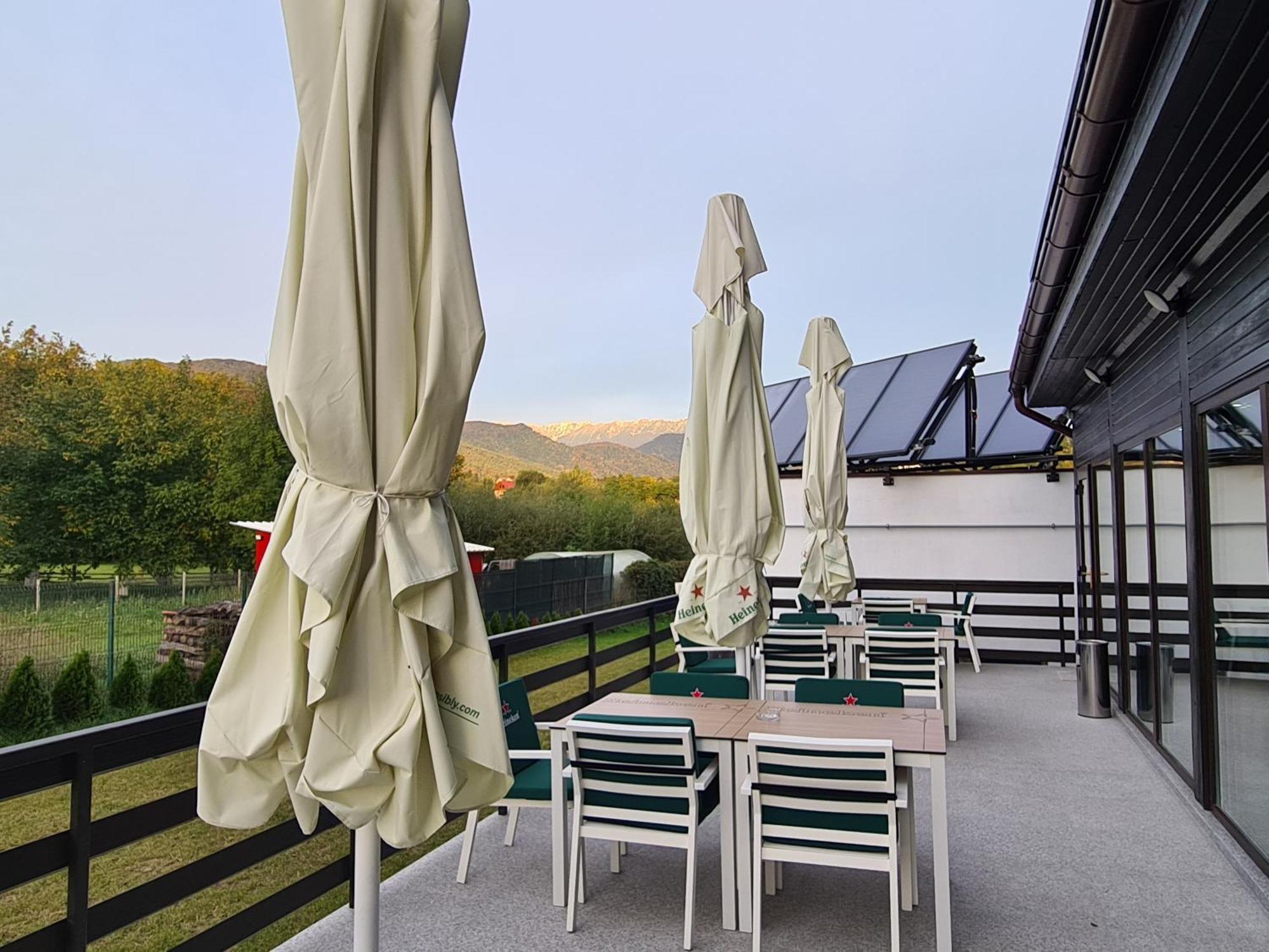Hotel New Wolf Bran  Exterior foto