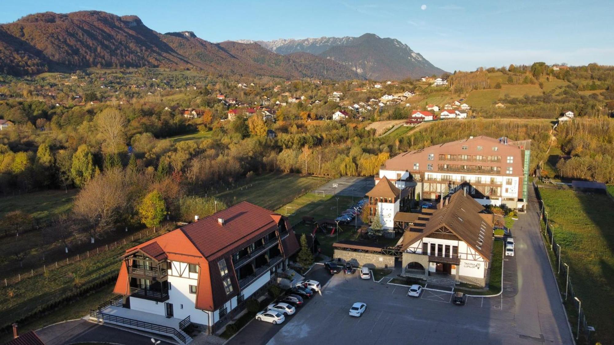 Hotel New Wolf Bran  Exterior foto