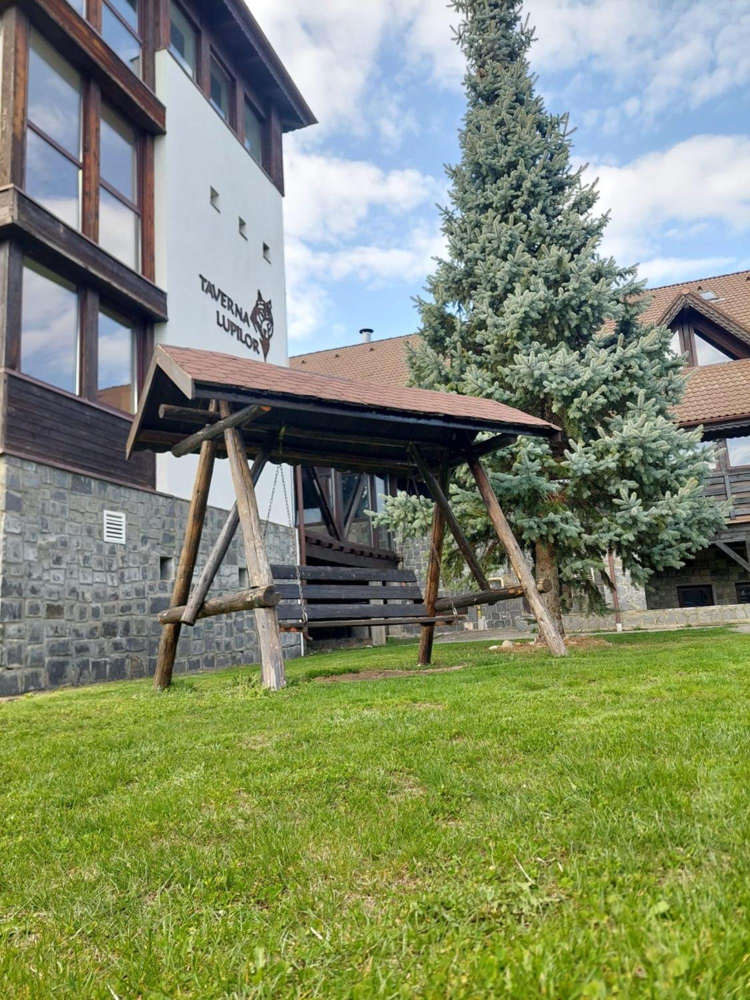 Hotel New Wolf Bran  Exterior foto